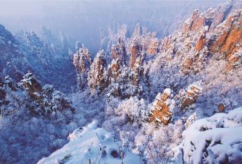 长沙+张家界国家森林公园一日游【一单一团私家包团+一价全含】【[品质专线]全新升级深度游，高分好评，打卡核心网红景点——袁家界、百龙电梯、十里画廊、天子山。】