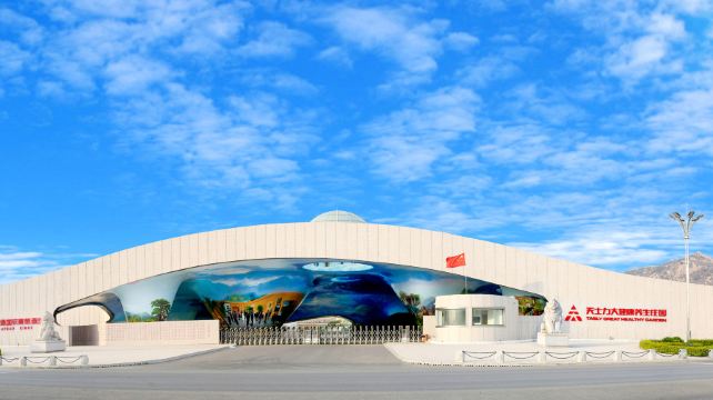 金士通国际葡萄酒庄