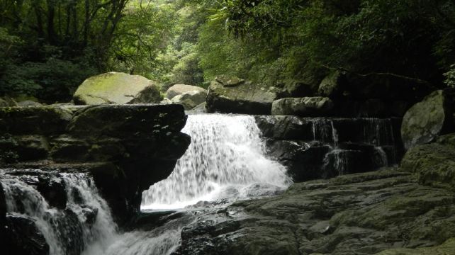 满月圆国家森林游乐区