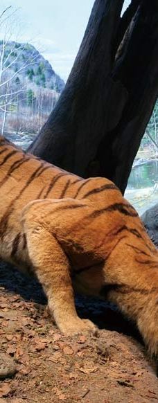 台湾自然科学博物馆-台中