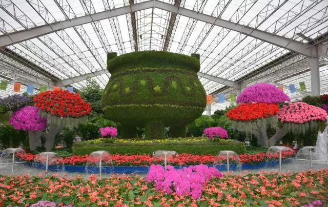 青州花博会