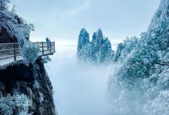 郴州莽山五指峰含往返索道一日游【可选跟团/6人拼小团自由行】【[精华景点]无障碍登山，轻松畅游，换乘车+往返索道已包含】