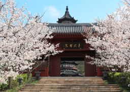 travel picture