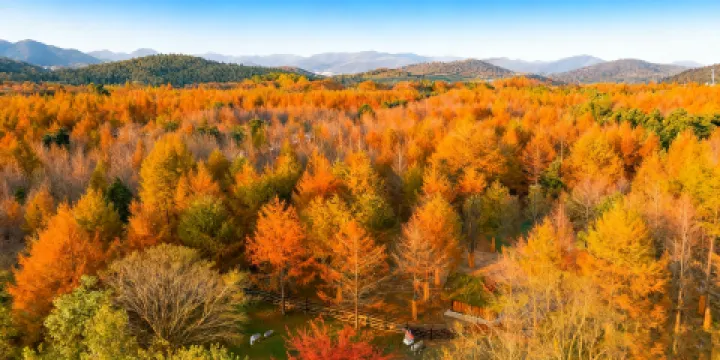 宜興國家森林公園