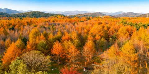 宜興國家森林公園