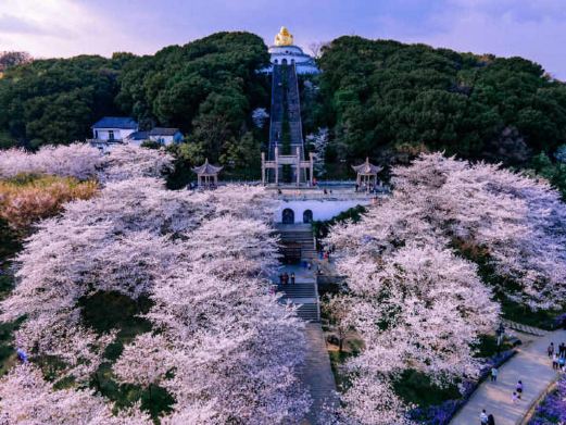 苏州上方山国家森林公园
