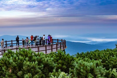 凤凰山国家森林公园