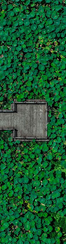 清漾毛氏文化村-江山