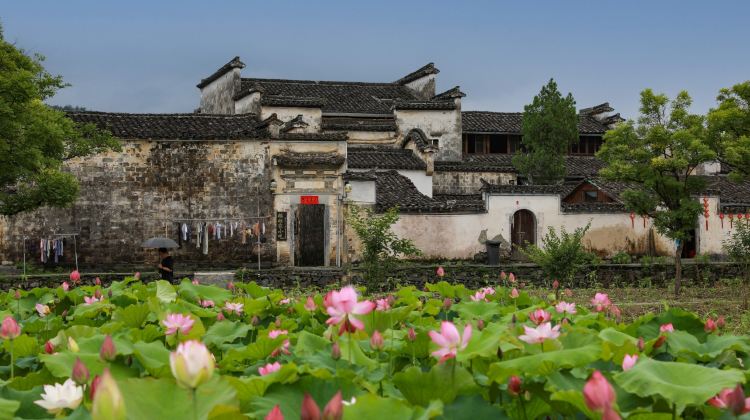 4-Day Huangshan Scenic Area + Hongcun Village + Xidi + Wuyuan Huangling