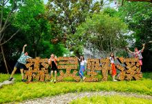 江苏淹城野生动物世界景点图片