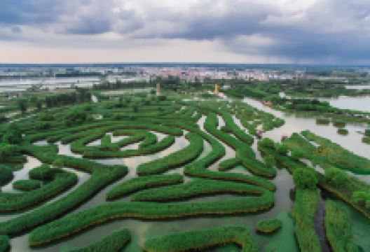 大纵湖景点图片