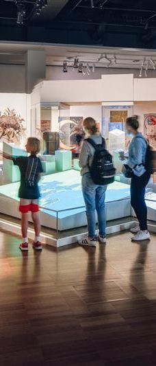 墨尔本博物馆-卡尔敦