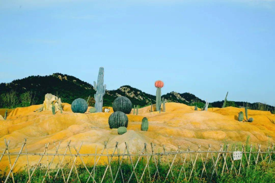 Gallery 1