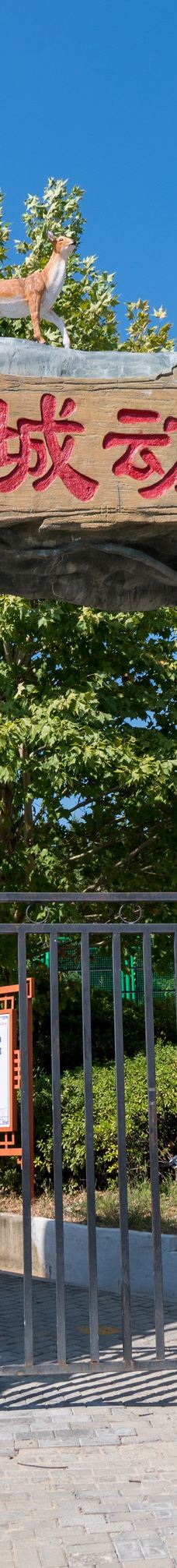 桐城动物园-桐城