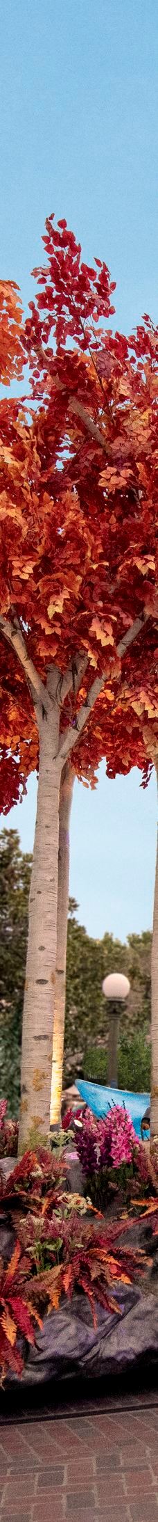 加州迪士尼乐园-阿纳海姆