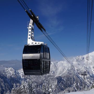 日本新穗高丛林踏雪一日游【轻奢小团+舒适商旅车接送】