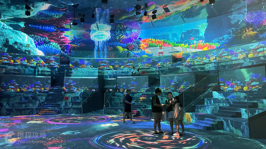 Ice Jungle
