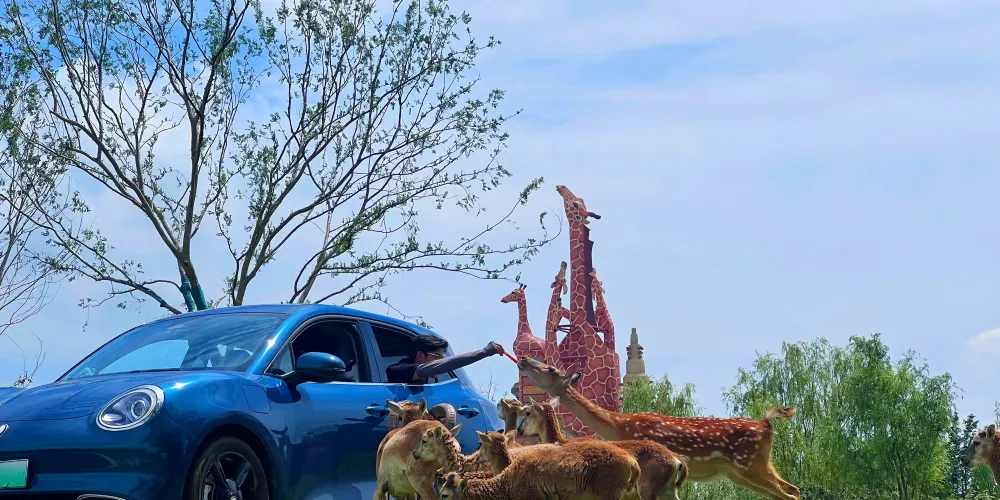 永安旅遊