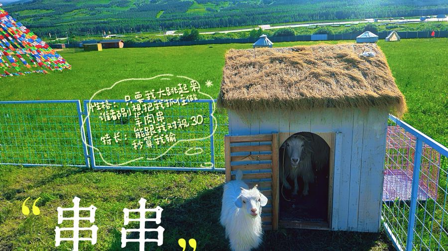 乌兰布统草原狮虎园