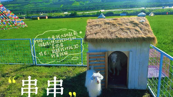 烏蘭布統野生獅虎園