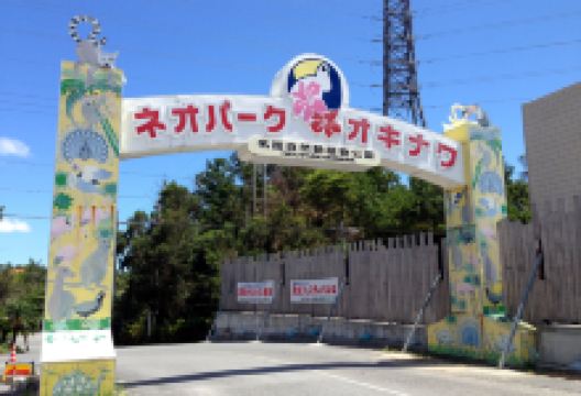 名护自然动植物园景点图片