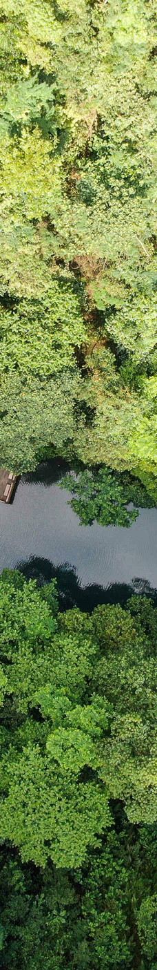 牛姆林生态旅游区-永春