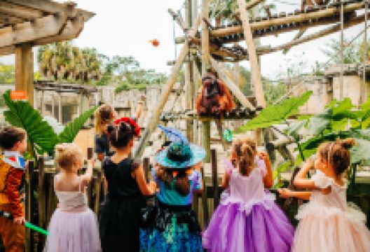 坦帕罗瑞动物园景点图片