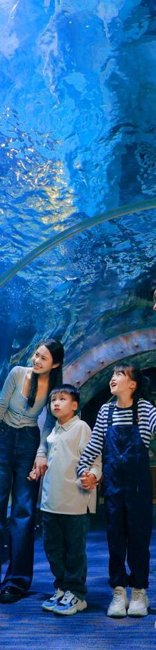 郑州海洋馆-郑州