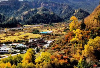 马蹄生态文化旅游区半日游【2-6人七座陆上公务舱随心游】【总社发团，多种车型、团形可供选择，解锁各种玩法，一站式服务，省去做攻略专业定制师，更多高性价比旅游。】