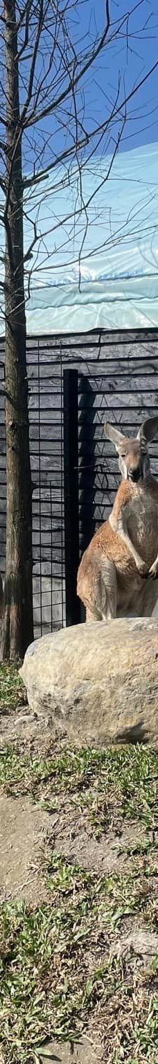 兰阳动植物王国-宜兰