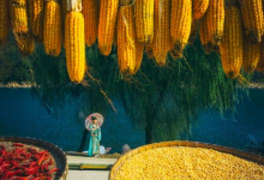 新安江山水画廊景点图片