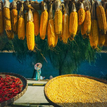 宏村景区+新安江山水画廊+徽州古城2日1晚跟团游