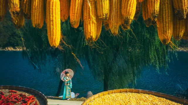 新安江山水画廊