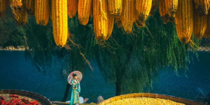 新安江山水畫廊