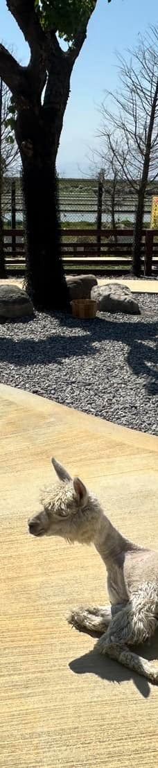 兰阳动植物王国-宜兰