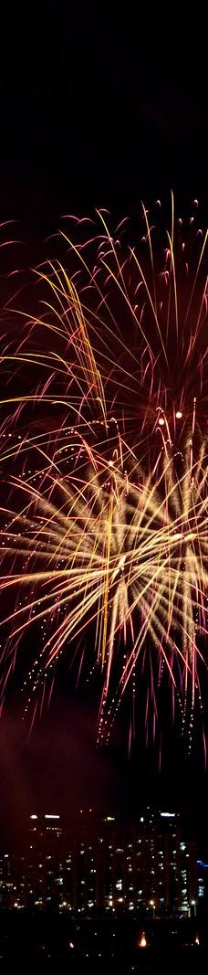 汝矣岛汉江公园-首尔