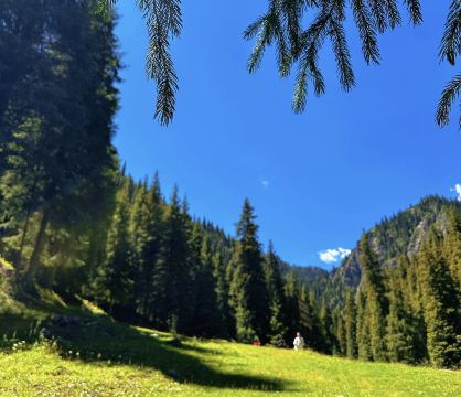 南山牧场西白杨沟景区