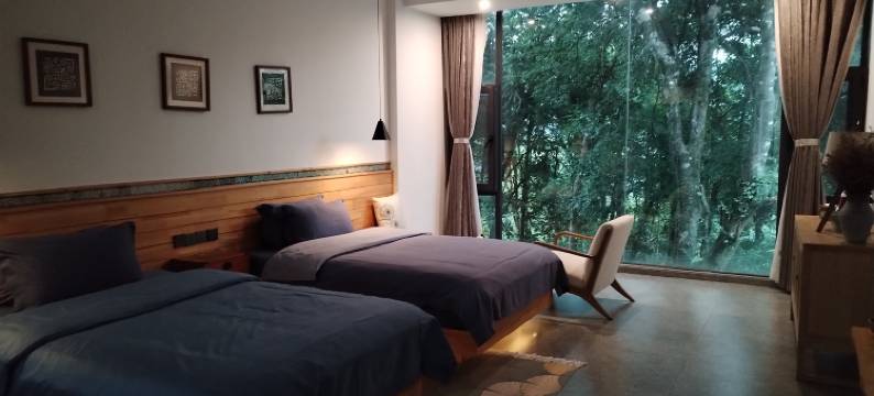 哈窝窝·然梦星宿图片