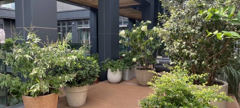 OVU国际服务公寓酒店(合肥丨滨湖国际会展中心・骆岗丨中央公园店)图片