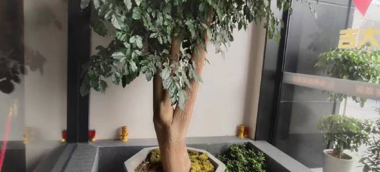 台州陌客酒店(台州体育中心店)图片