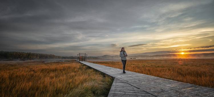 塞罕坝赛娅民宿图片