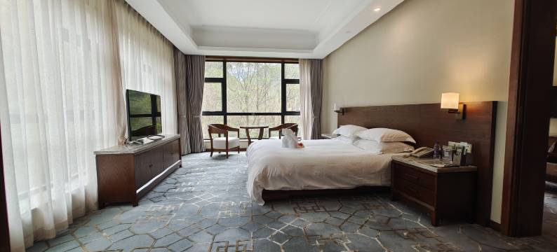 宁海天明山森林温泉大酒店图片