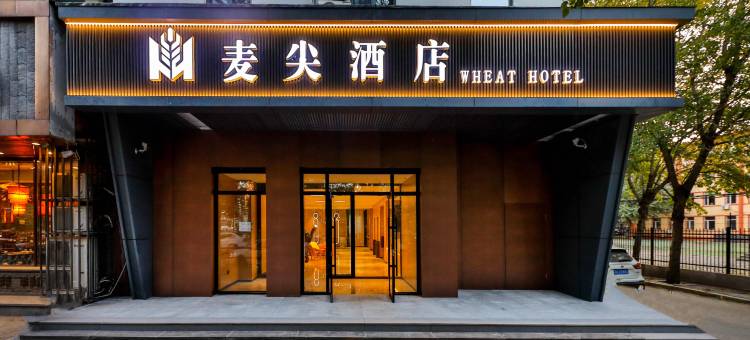 麦尖酒店(沈阳铁西重工街店)图片