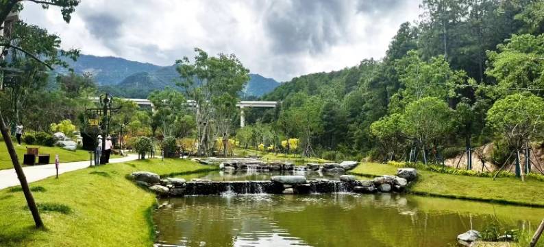 伴山轻奢民宿图片