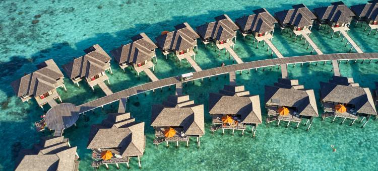 太阳岛伊露富士酒店(Sun Siyam Iru Fushi)图片