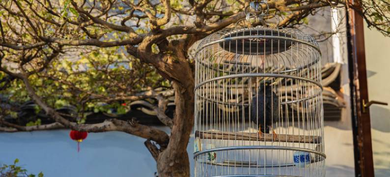 宏村萬府景.度假民宿图片