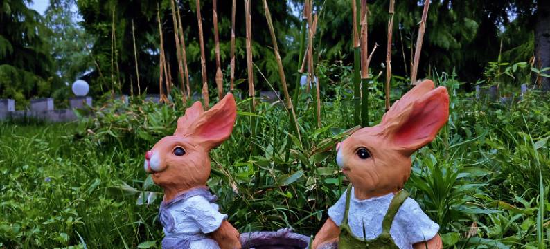 汀蘭河畔民宿图片