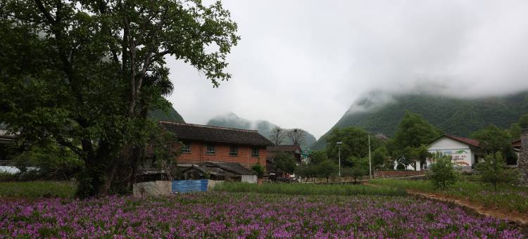 亮点学园酒店图片