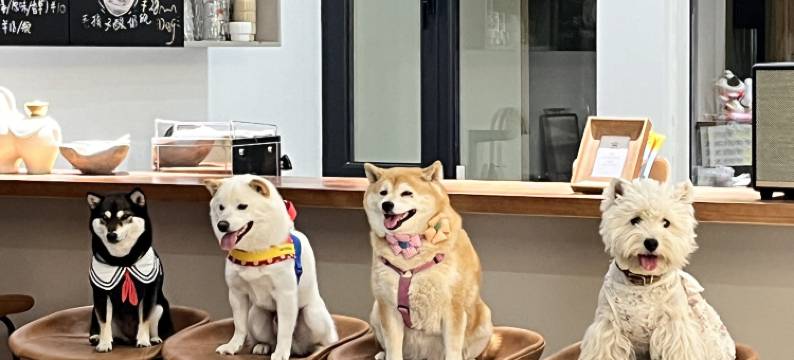 F&H宠物俱乐部图片