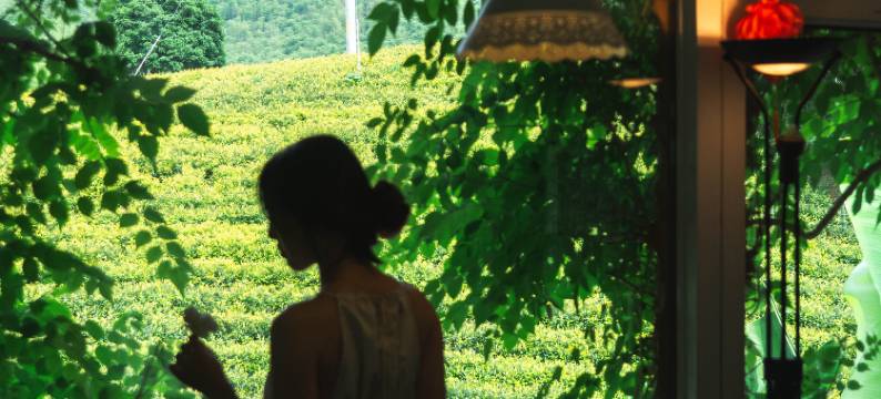 安吉浮云谷·伴花山宿丨花园野奢亲子度假民宿图片